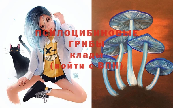 спайс Алексин