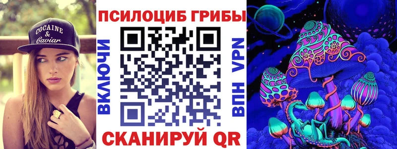 Галлюциногенные грибы MAGIC MUSHROOMS  наркотики  Тында 